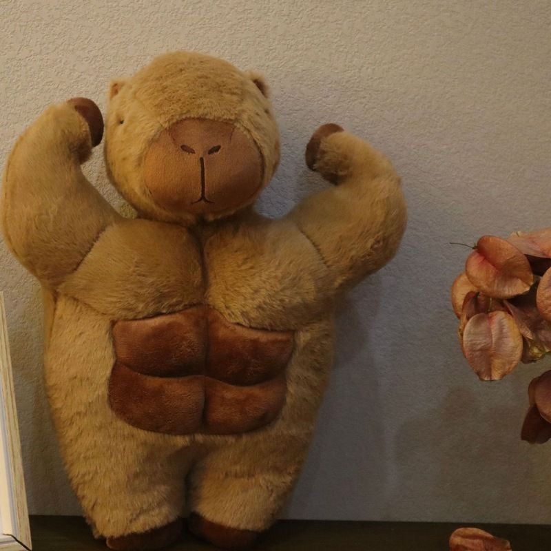 Capybara musculo