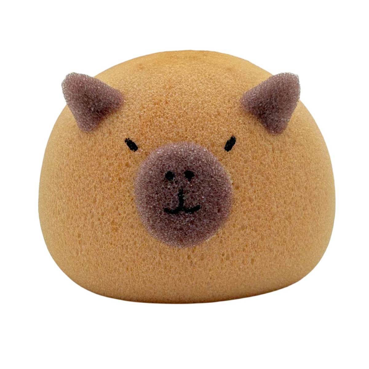 OFERTA Capybara esponja