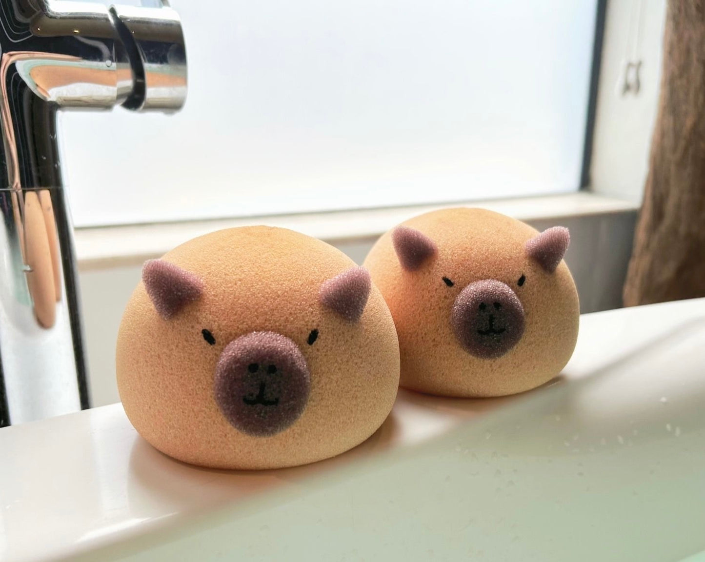 OFERTA Capybara esponja