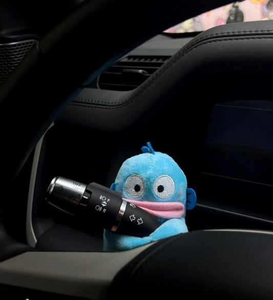 Decoración del coche