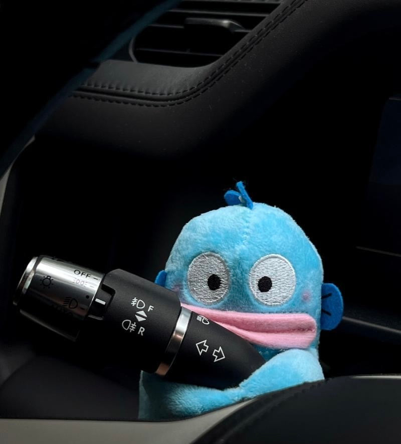 Decoración del coche
