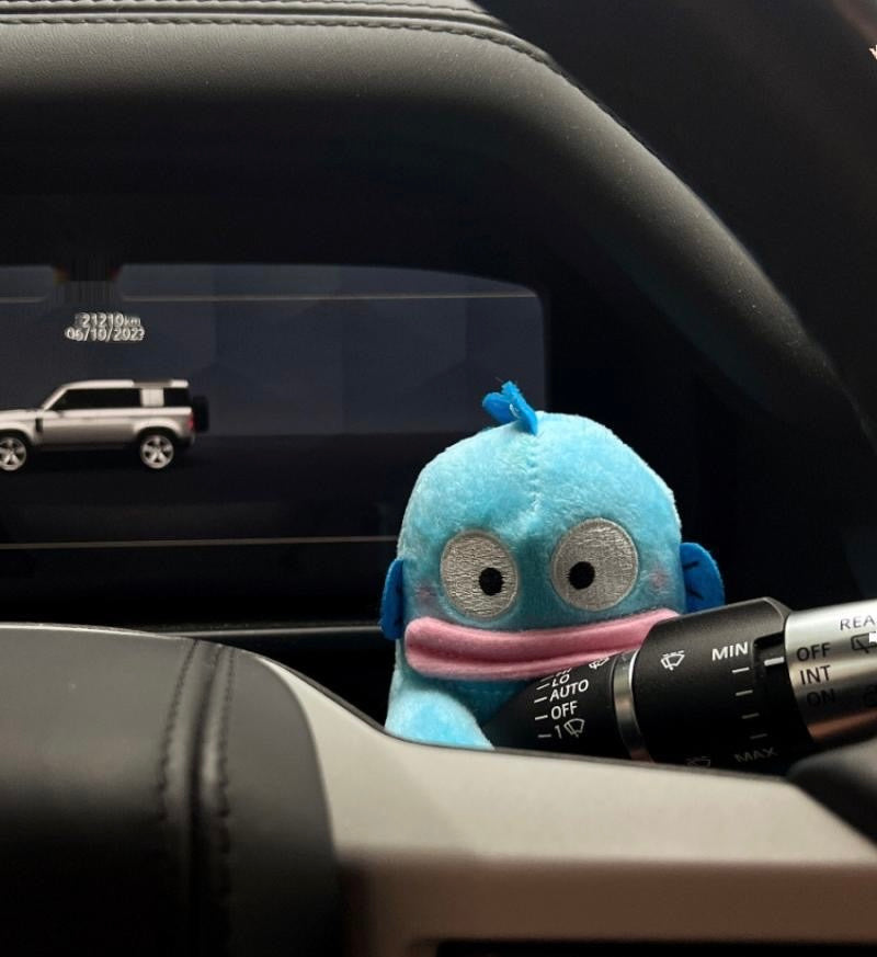 Decoración del coche