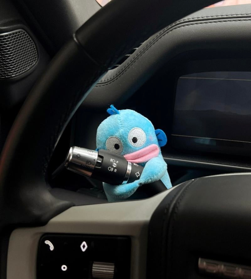 Decoración del coche