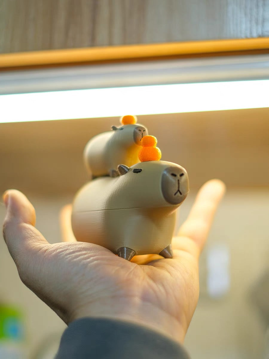 OFERTA Capybara magnética, juguetes figuras 3D