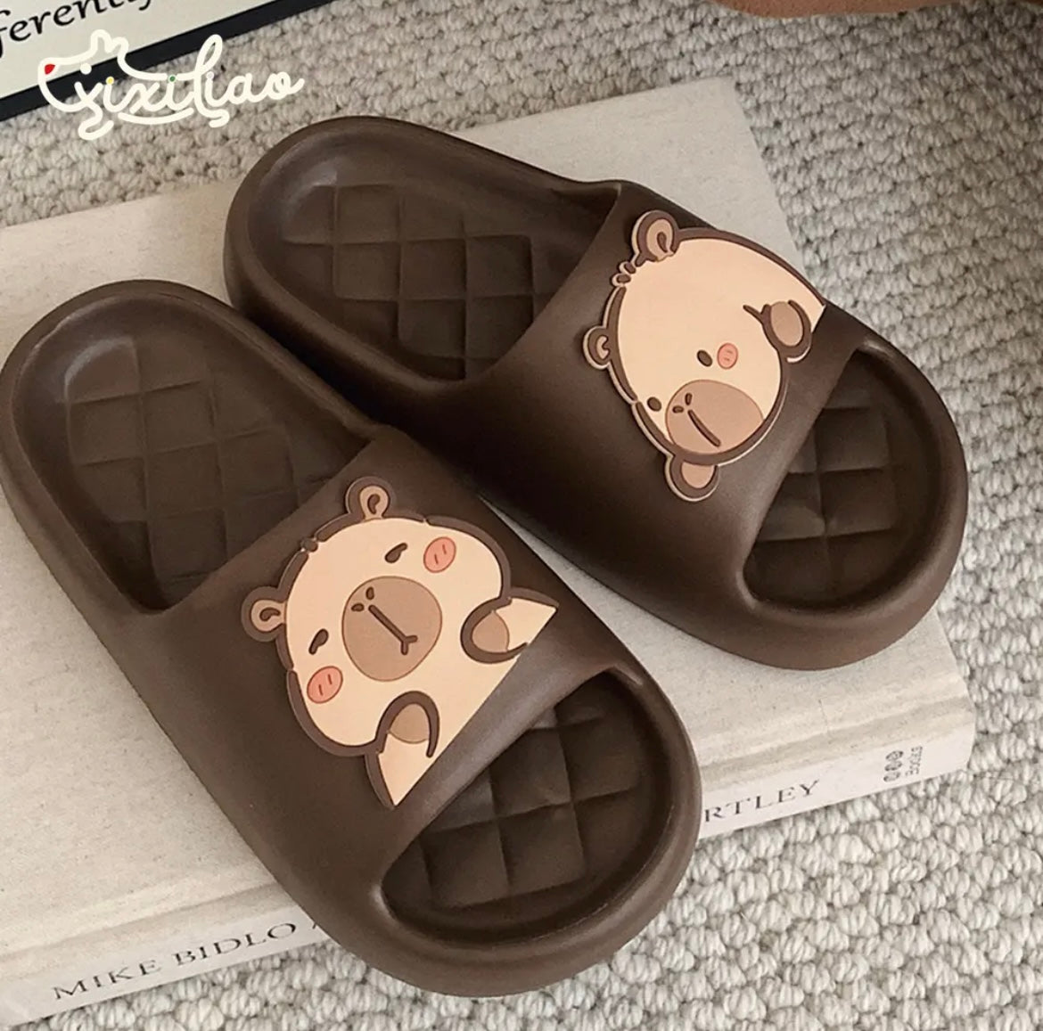 OFERTA Zapatillas de capibara