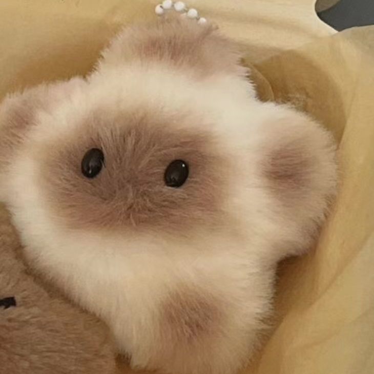Peluche llavero, peluche de Capybara llavero