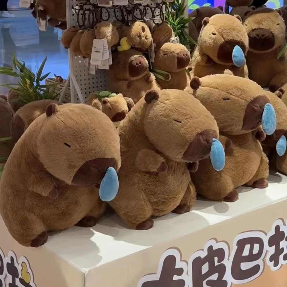 Capibara está enferma, capibara con mocos