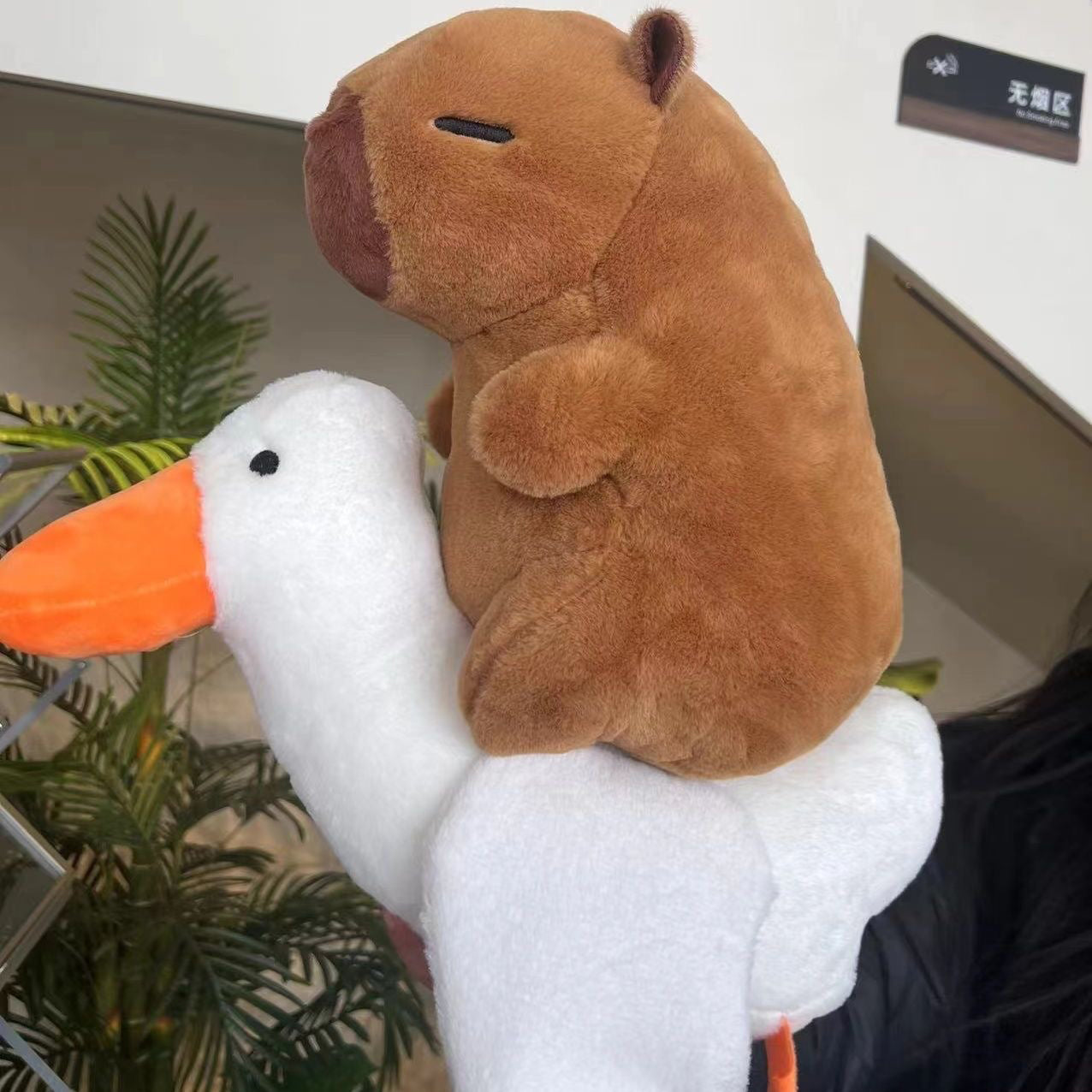 Capibara y Animales