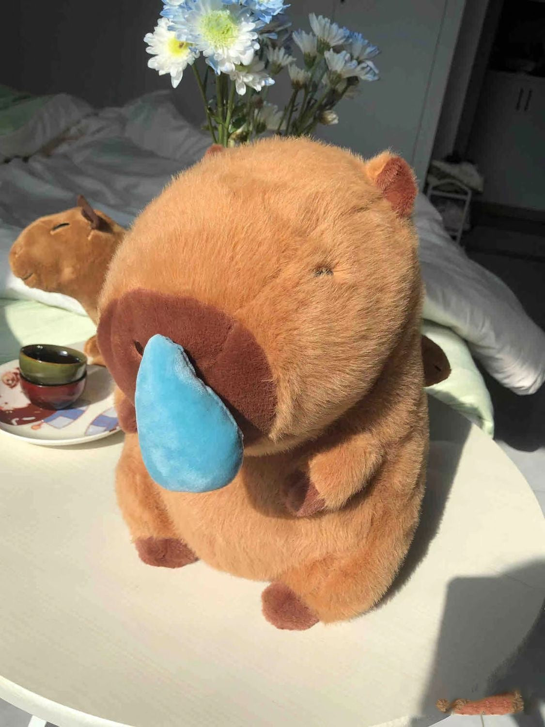 Capibara está enferma, capibara con mocos