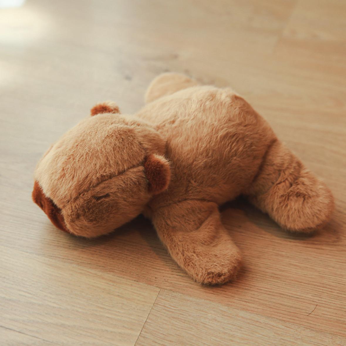 OFERTA 15 CM capybara pulsera, peluche capybara