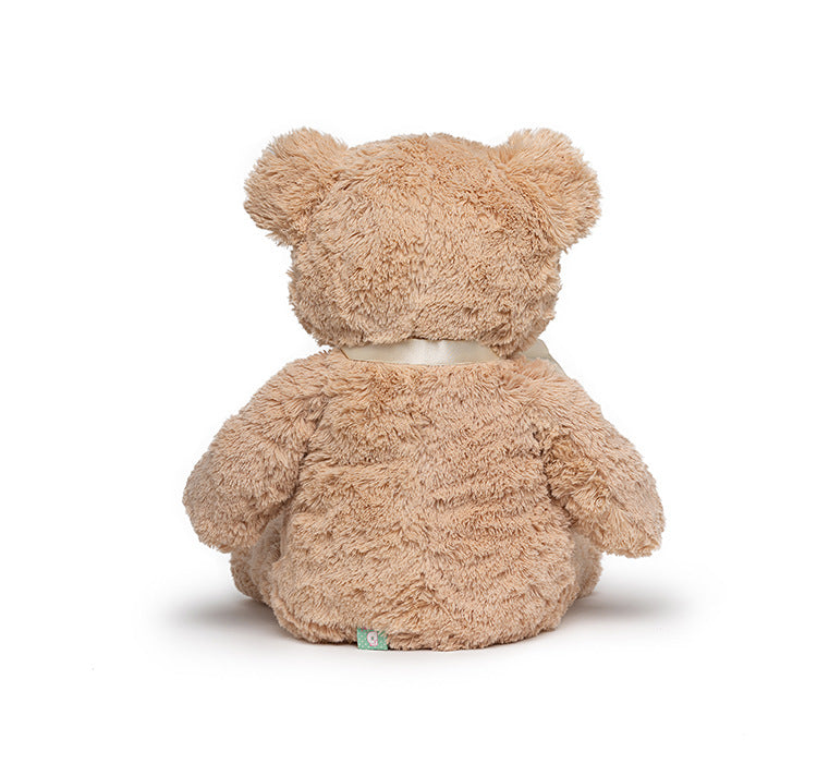45/55/80cm teddy bear